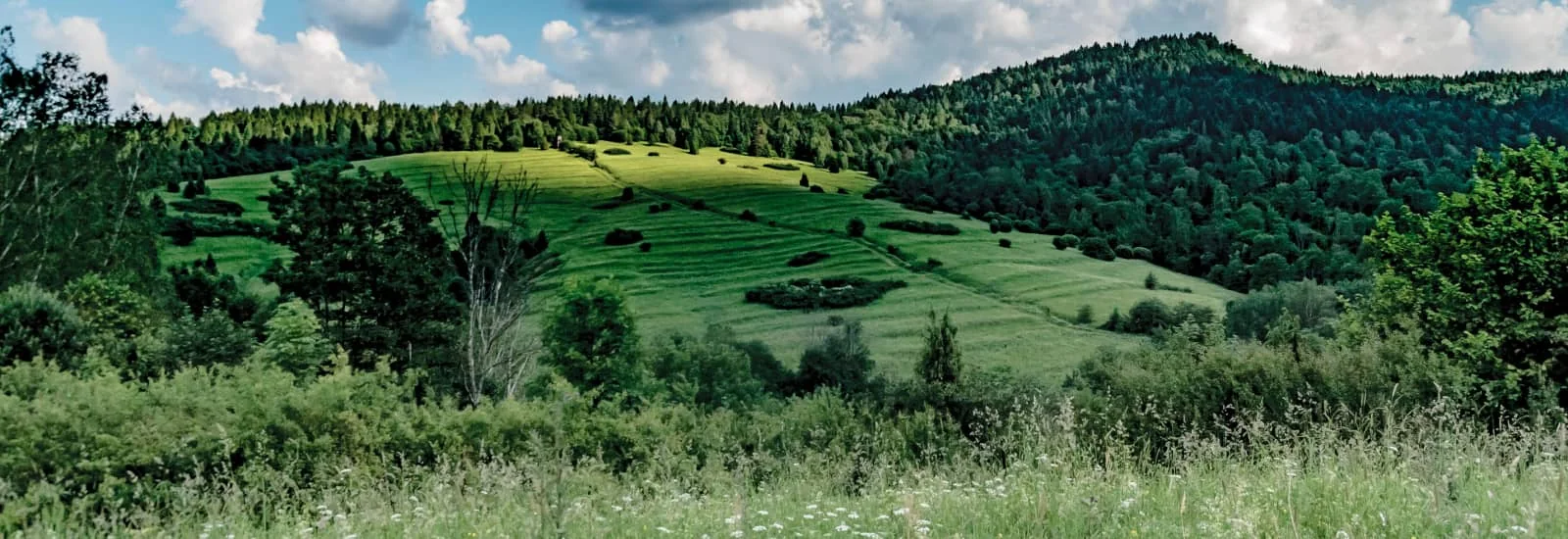 UltraMaraton Bieszczadzki — 6 görseli 1