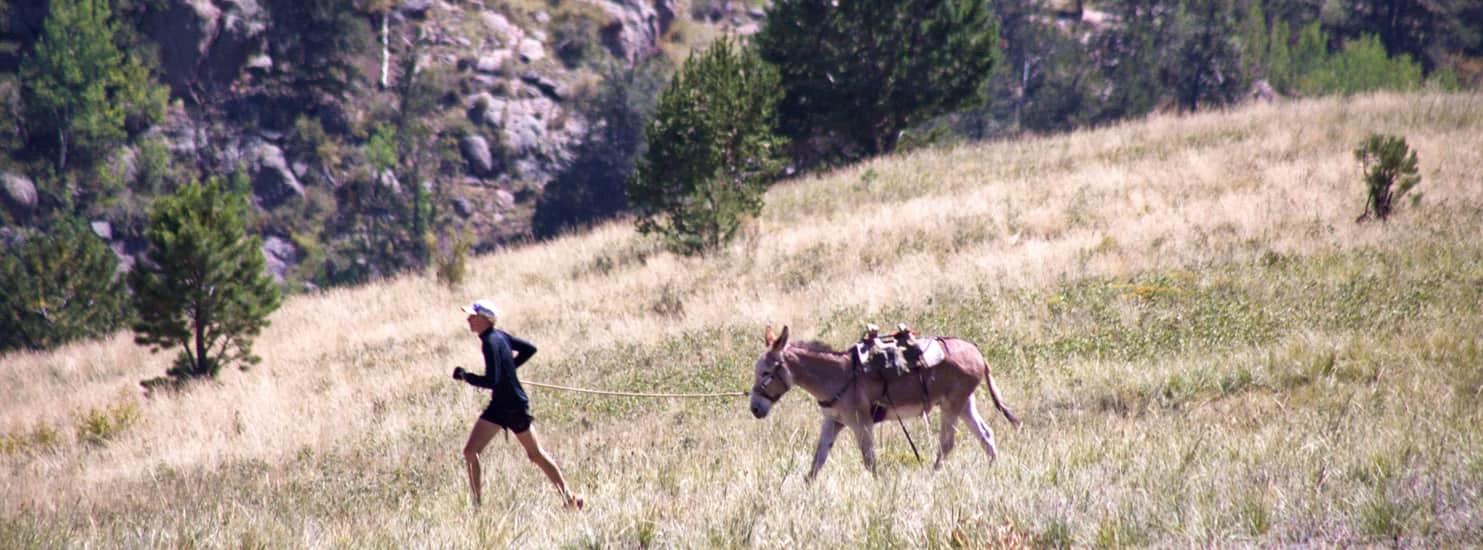 Victor Gold Rush Days Pack Burro Race — zdjęcie 1 z 3