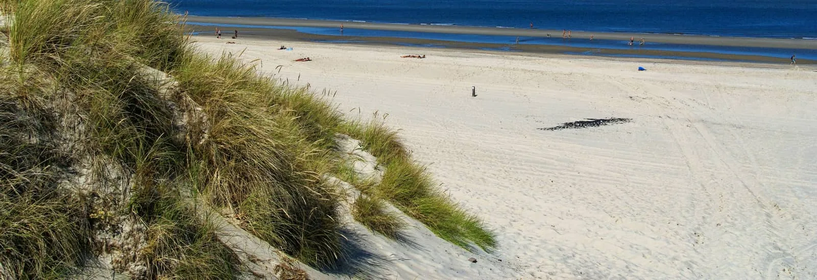 Vuurtorenloop Vlieland — zdjęcie 1 z 6