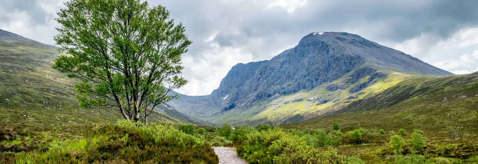 WHW & Ben Nevis Race — obrázek 1 z 3